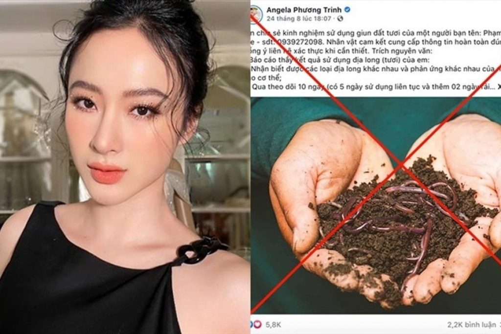 Angela Phương Trinh: 'Tôi sai khi đưa tin giun đất chữa Covid-19'