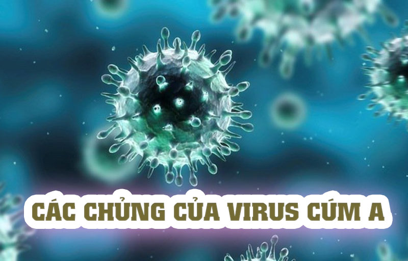 Các chủng loại virus cúm A