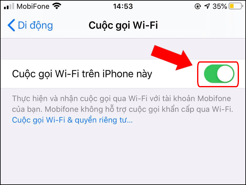 Tick bật Cuộc gọi Wi-Fi trên iPhone này.